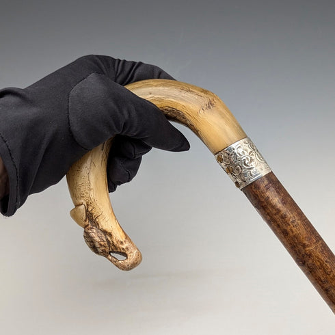 1899 年英國古董男士純銀裝飾牛角手柄手杖 101 厘米